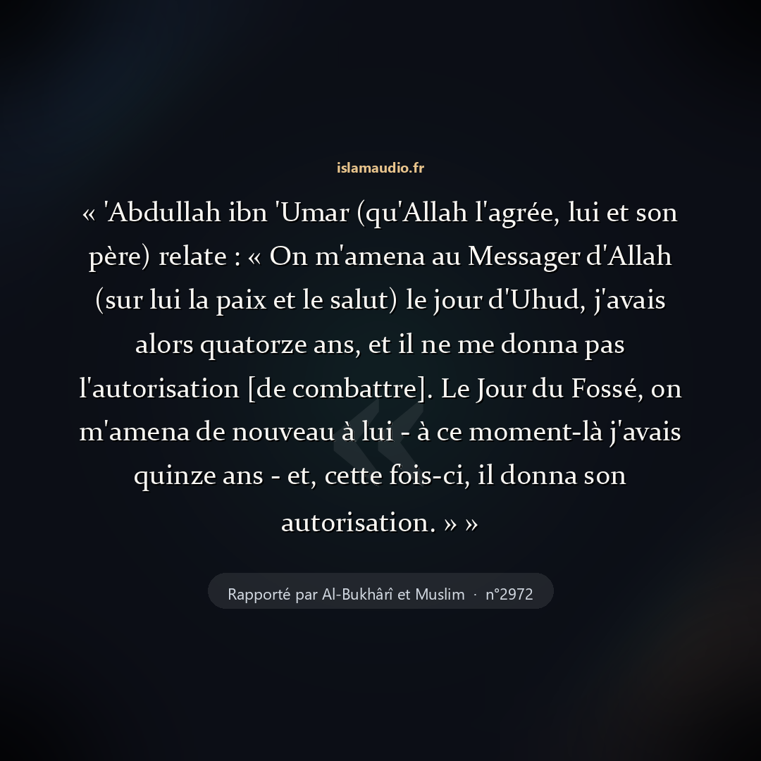 Aperçu du hadith