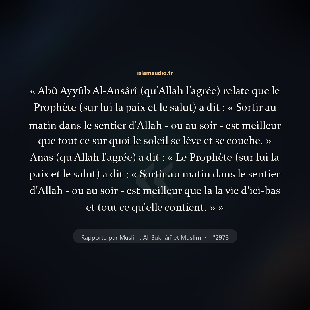 Aperçu du hadith