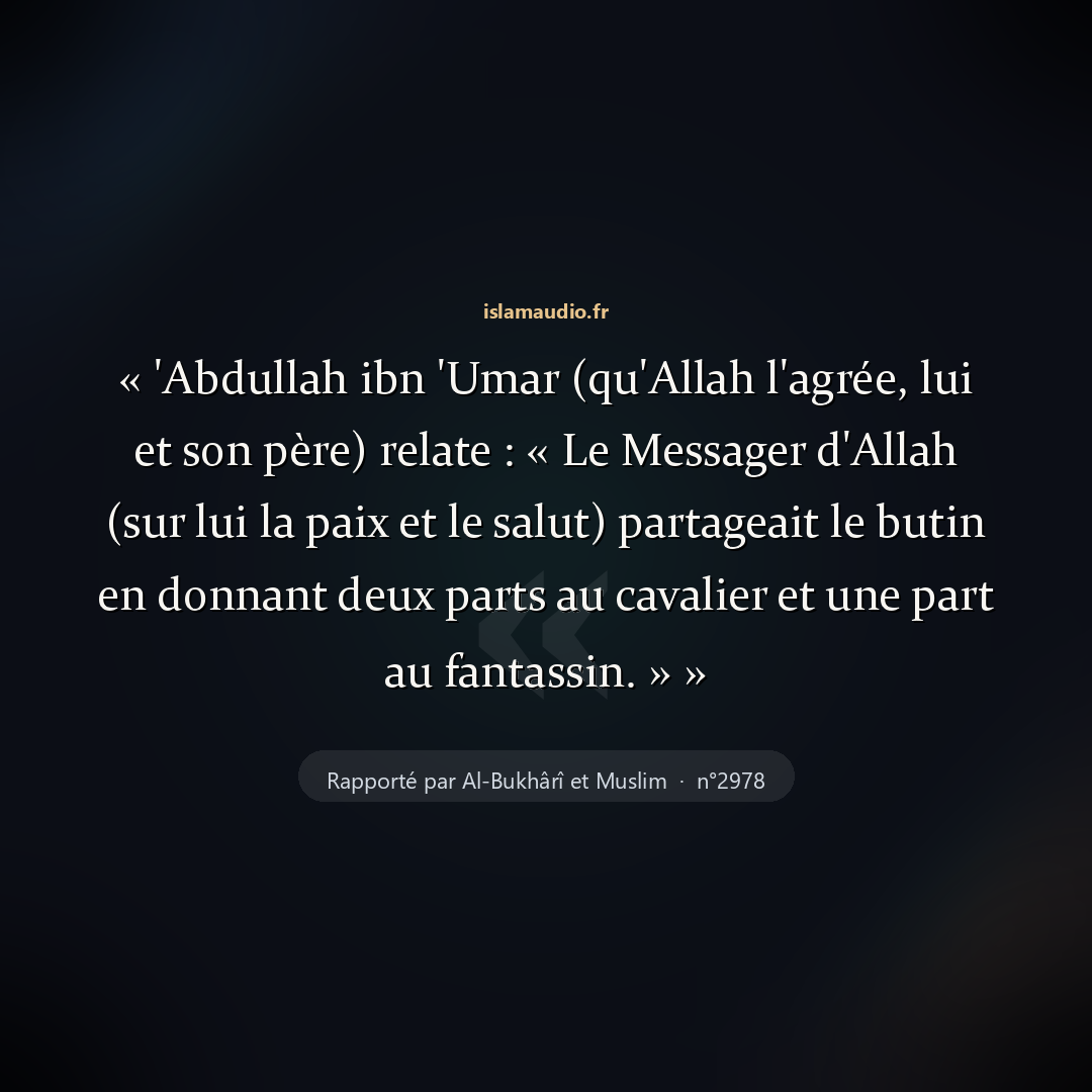 Aperçu du hadith
