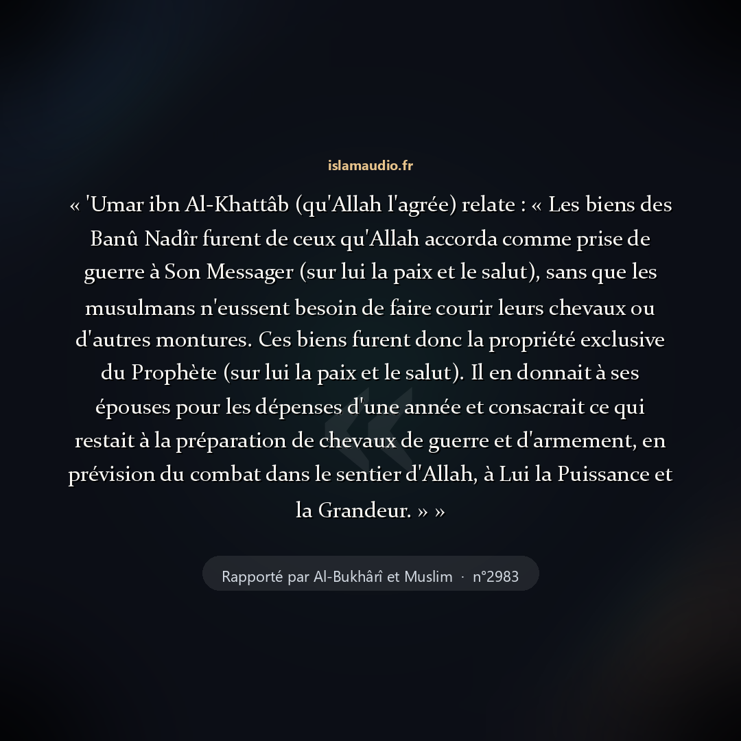 Aperçu du hadith