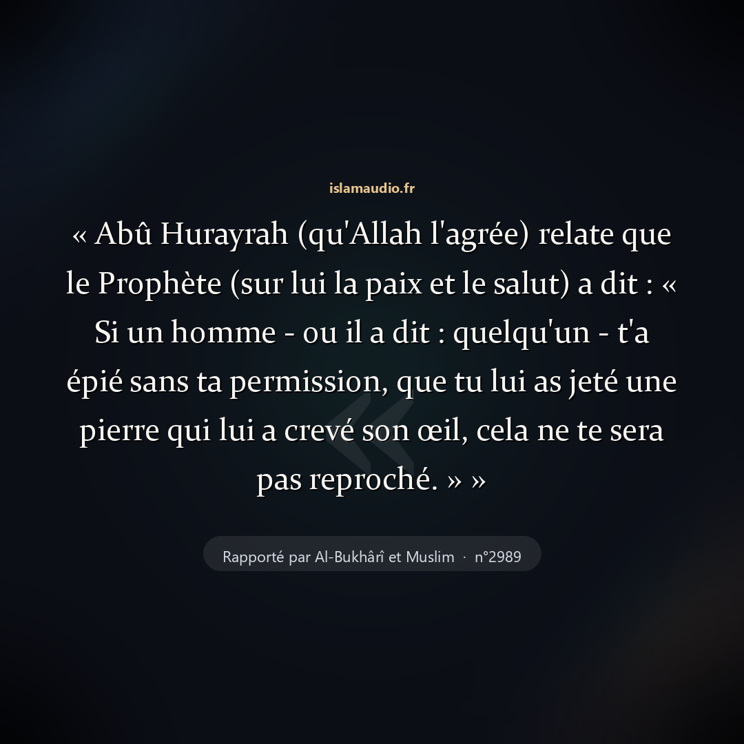 Aperçu du hadith