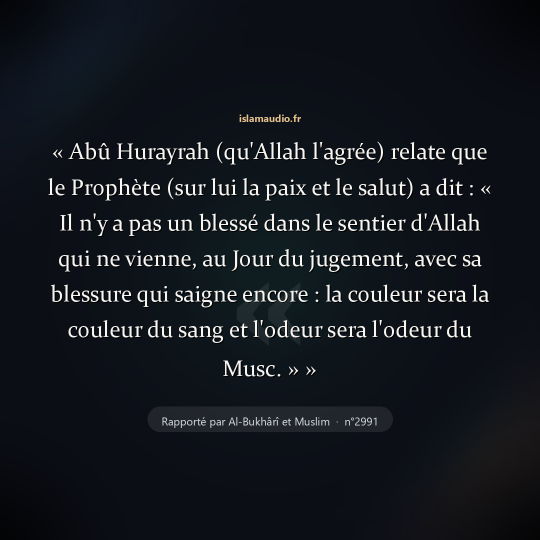 Aperçu du hadith
