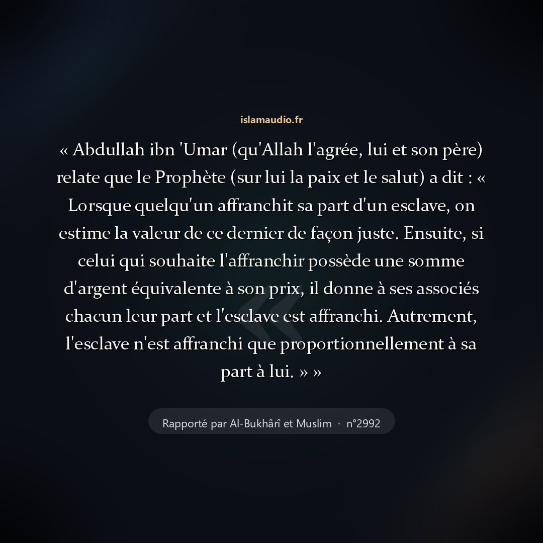 Aperçu du hadith