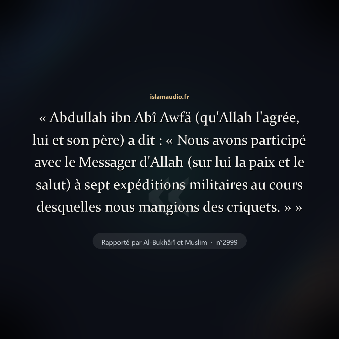 Aperçu du hadith