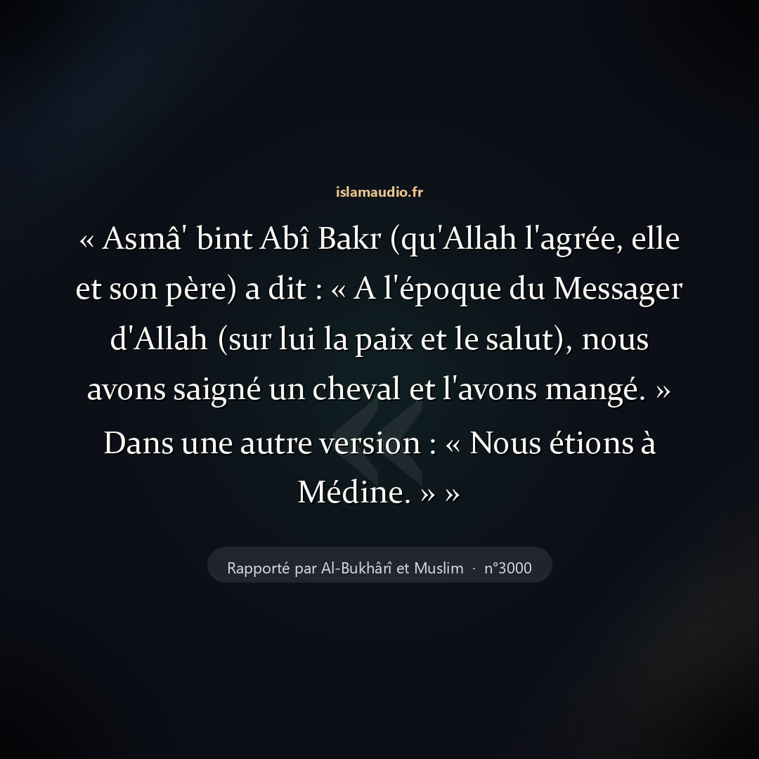Aperçu du hadith