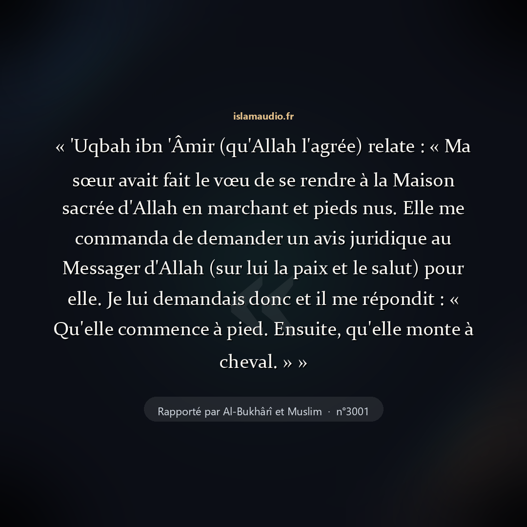 Aperçu du hadith