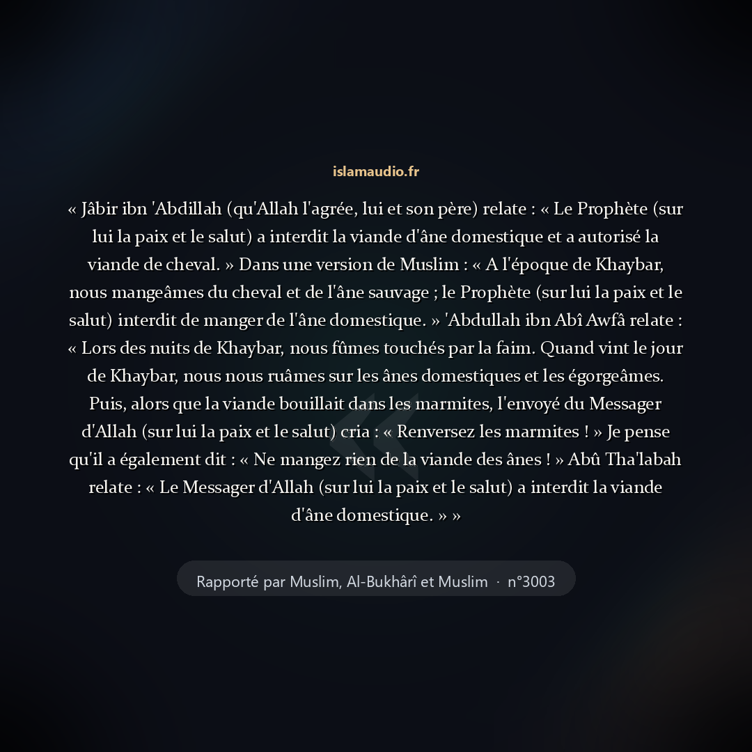 Aperçu du hadith
