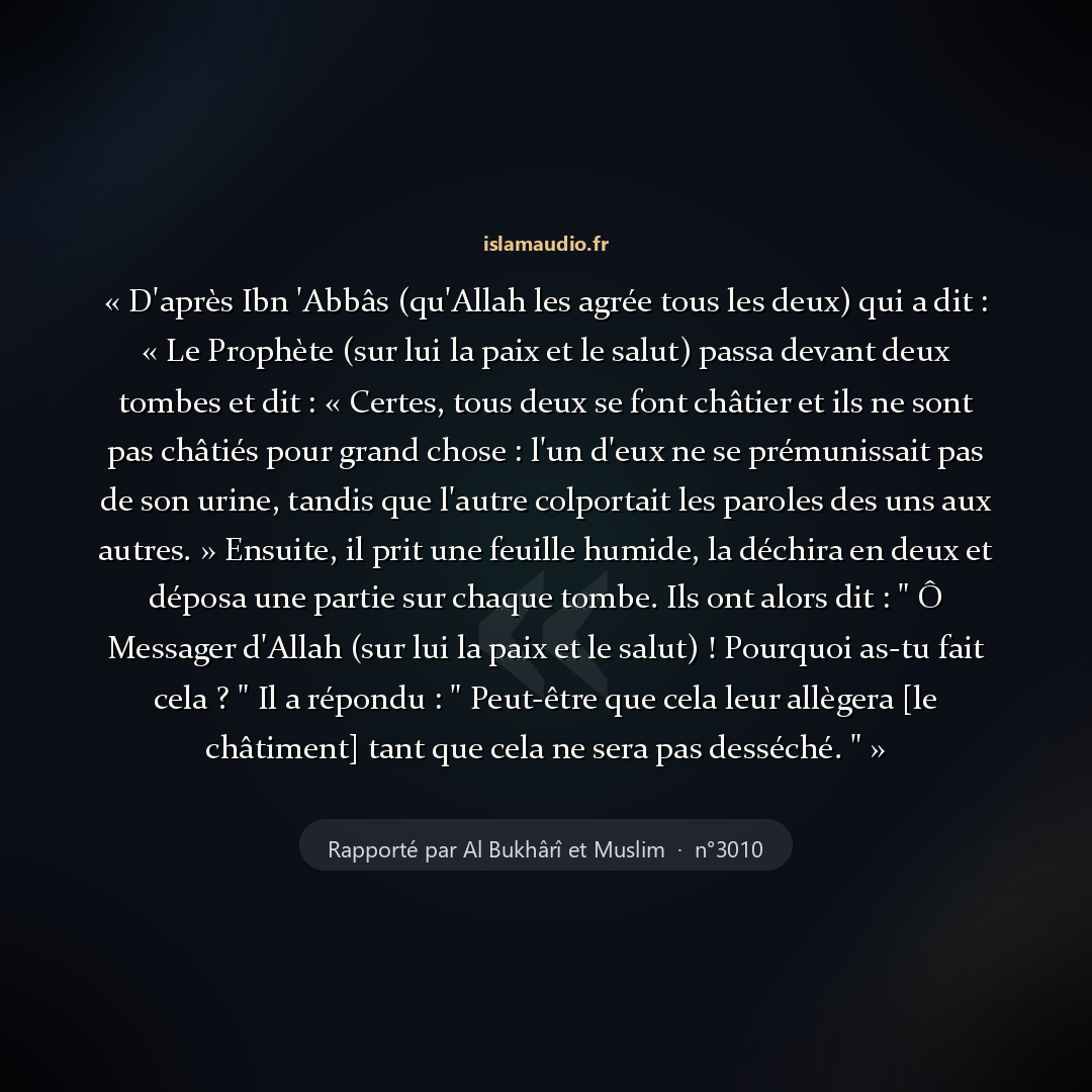 Aperçu du hadith