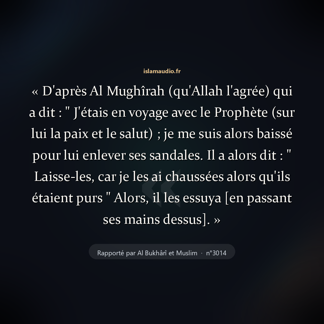 Aperçu du hadith