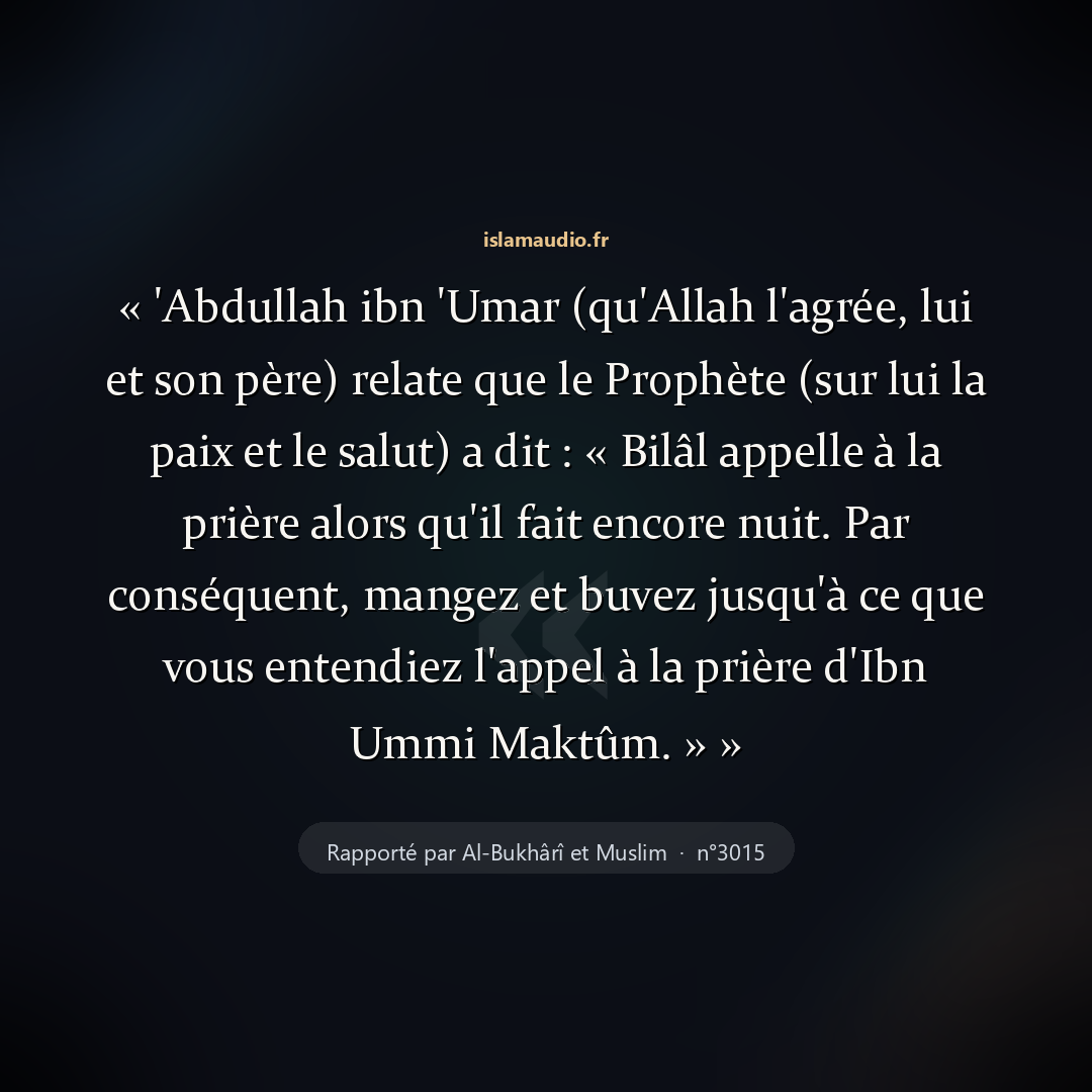 Aperçu du hadith