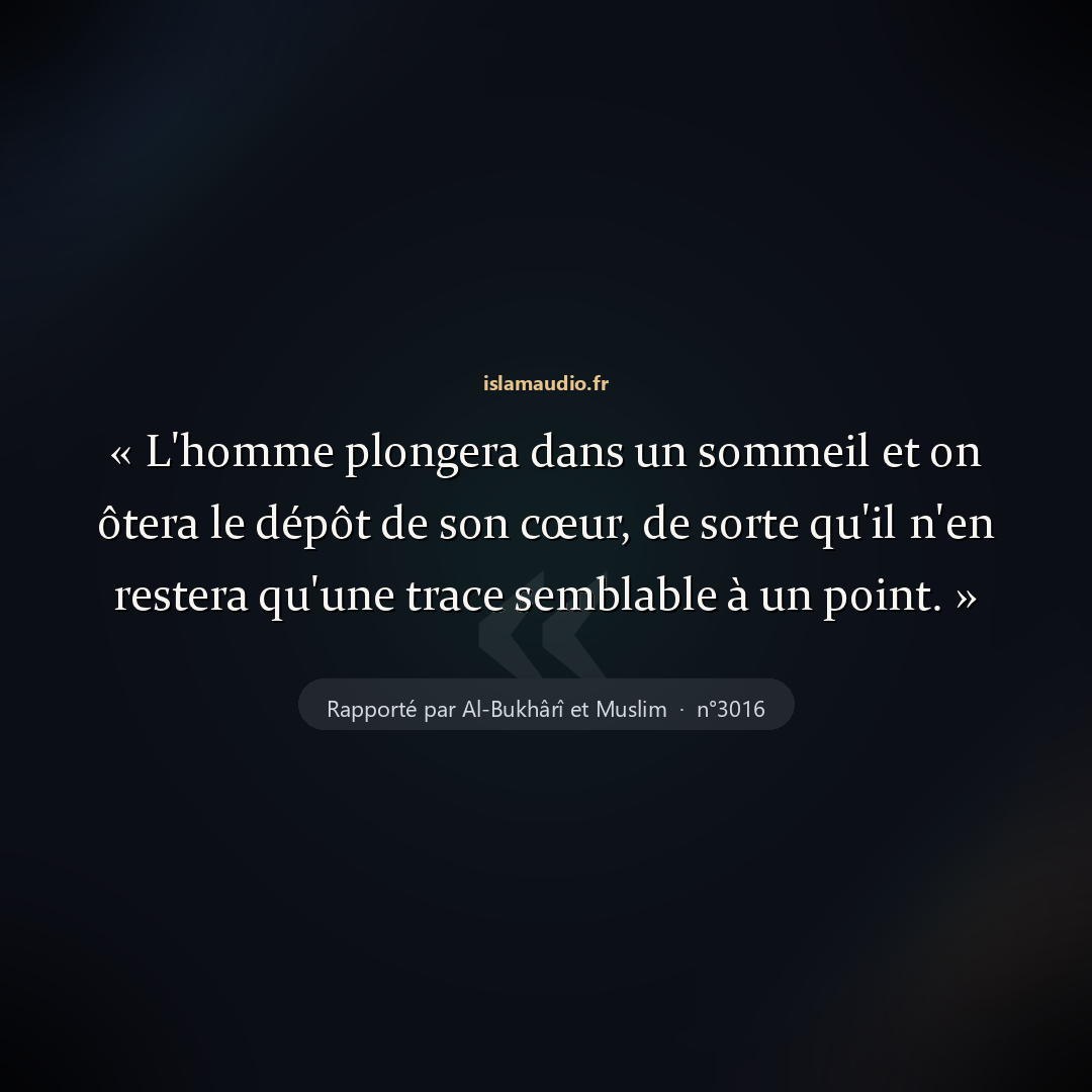 Aperçu du hadith