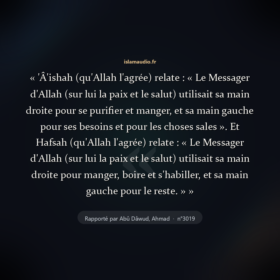 Aperçu du hadith