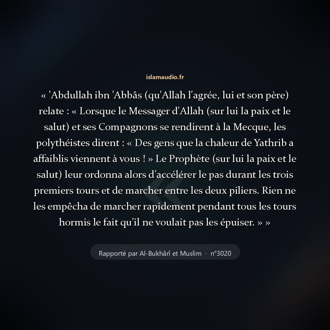 Aperçu du hadith