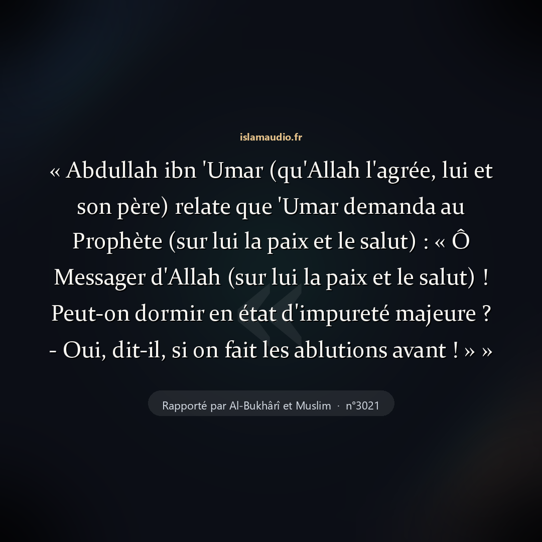 Aperçu du hadith