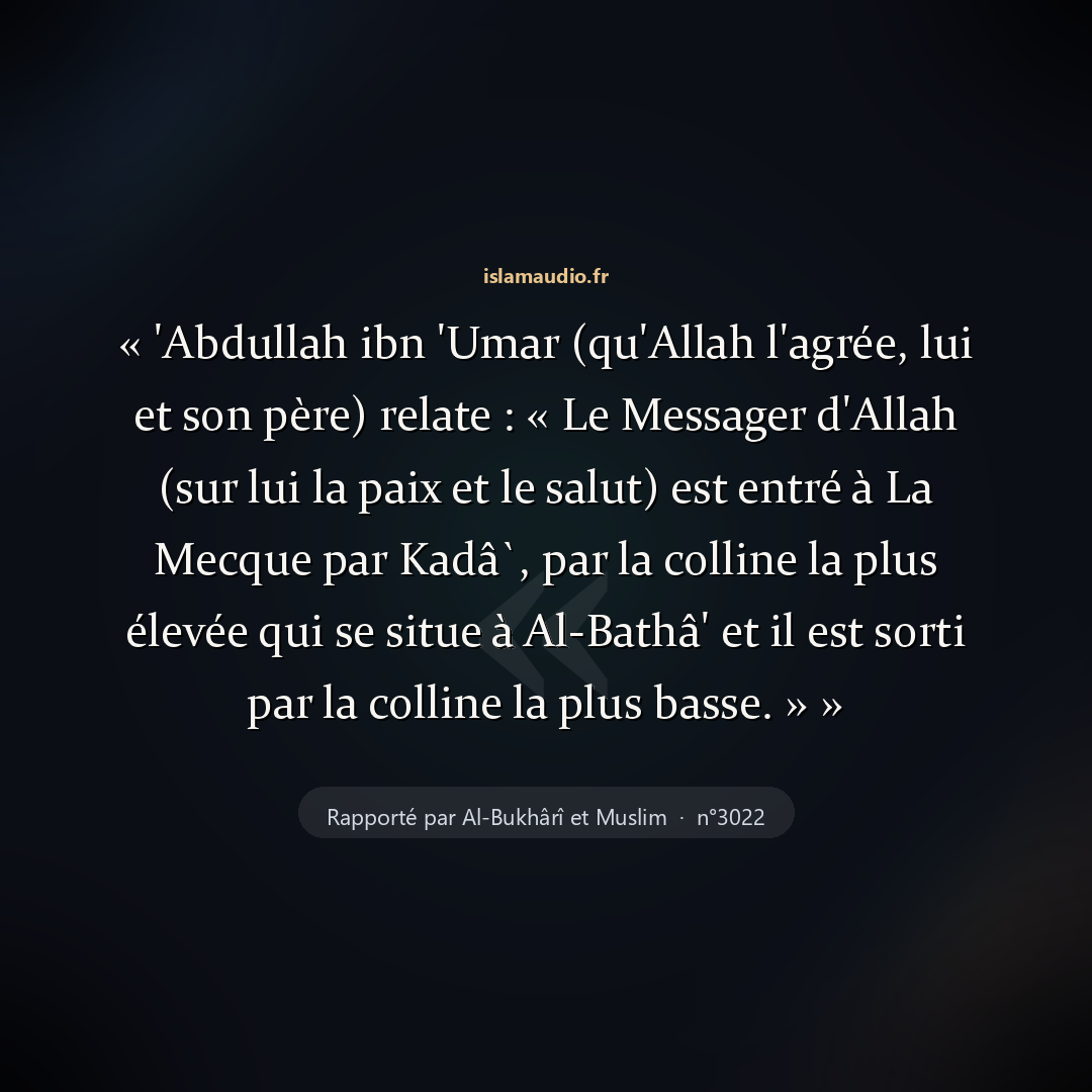 Aperçu du hadith