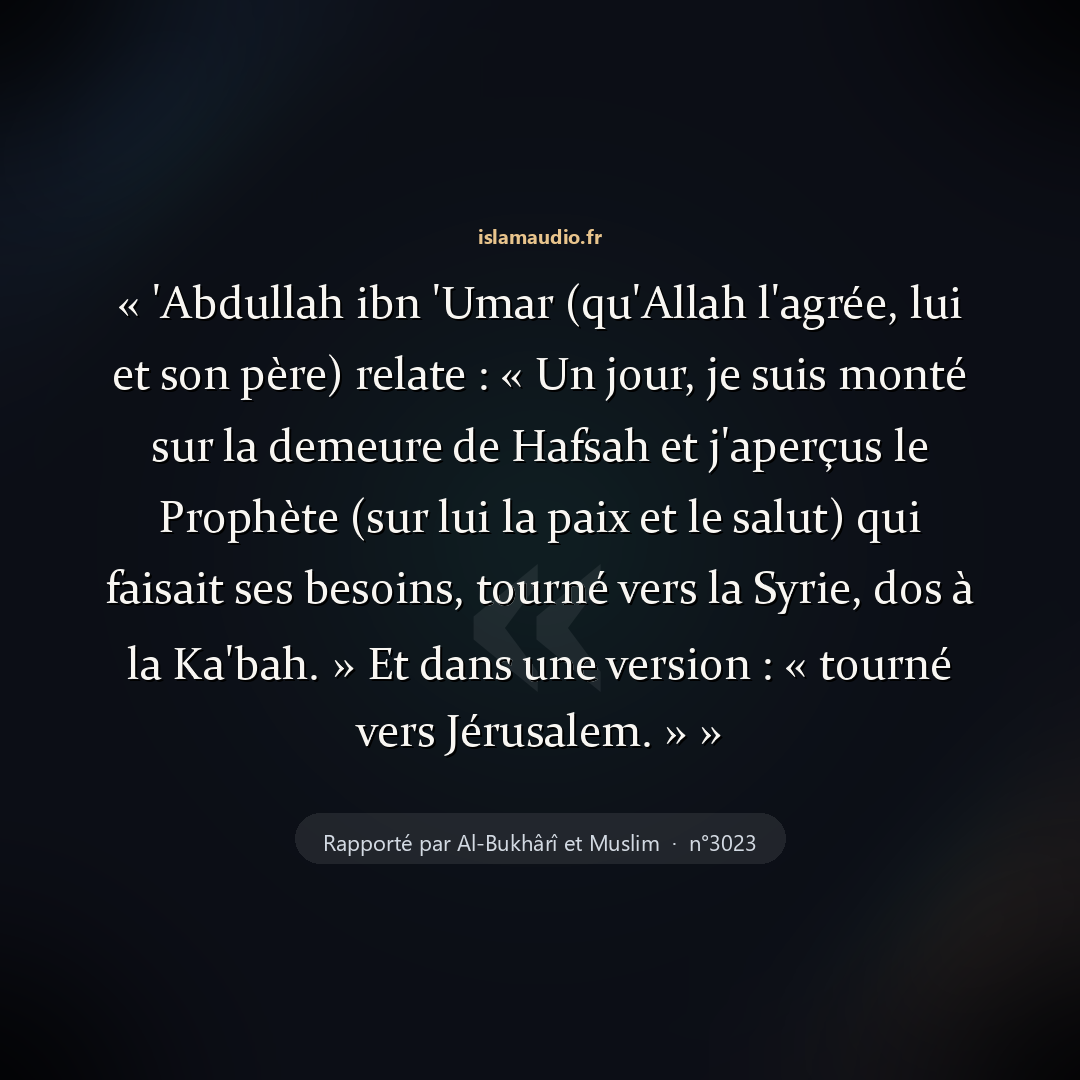 Aperçu du hadith