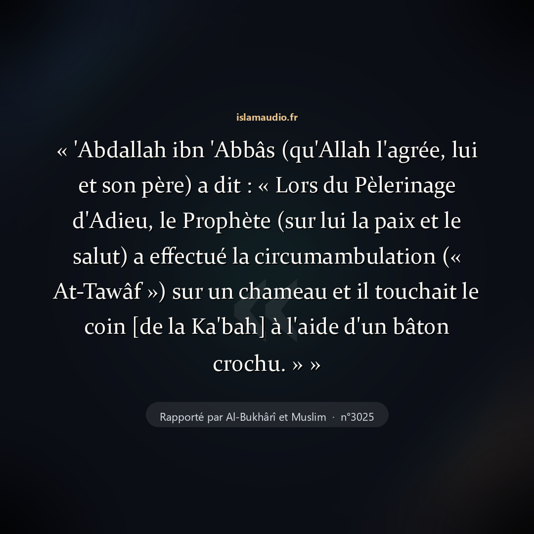 Aperçu du hadith