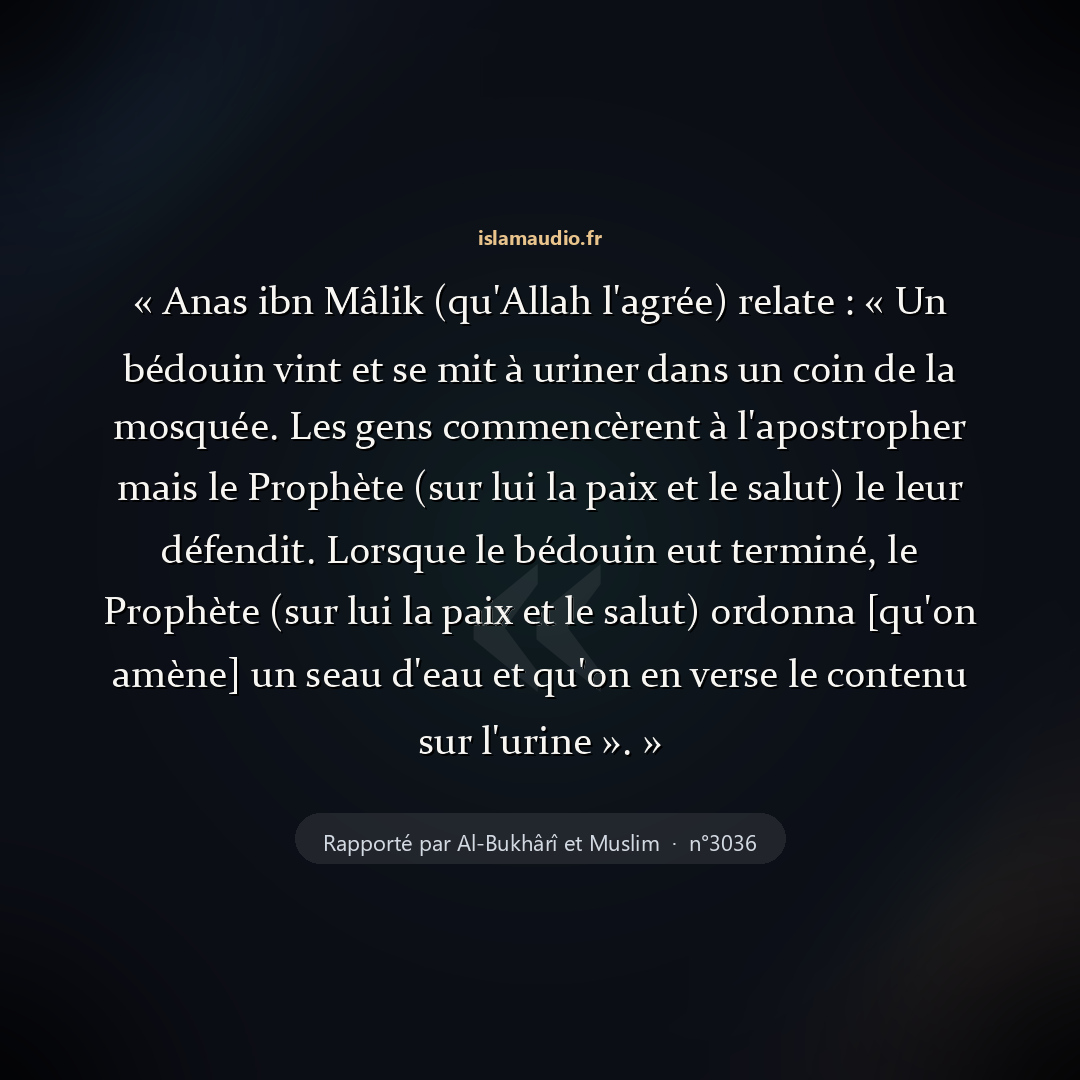 Aperçu du hadith