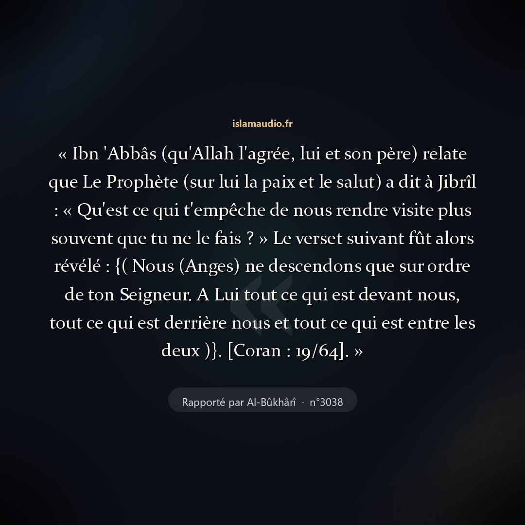 Aperçu du hadith