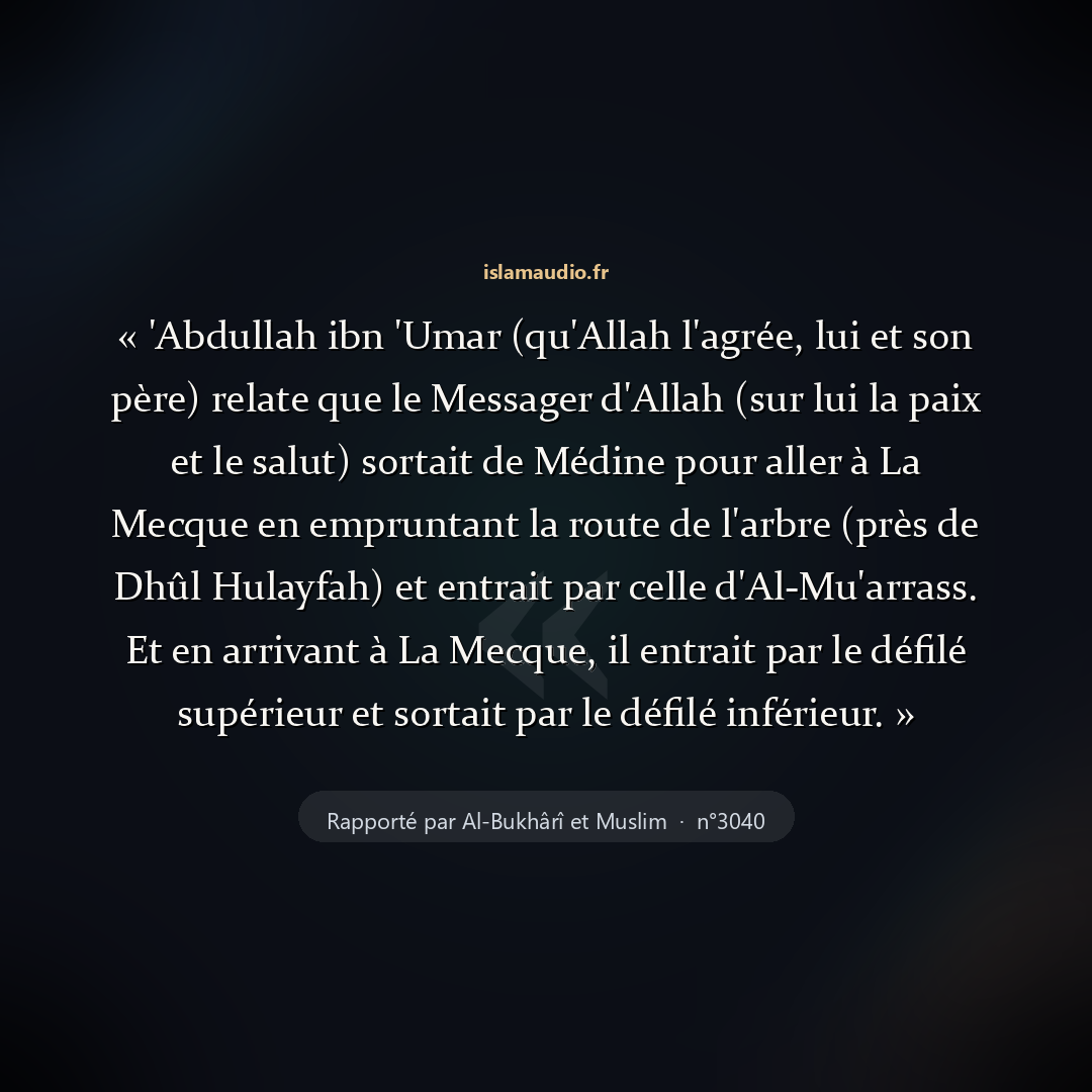 Aperçu du hadith