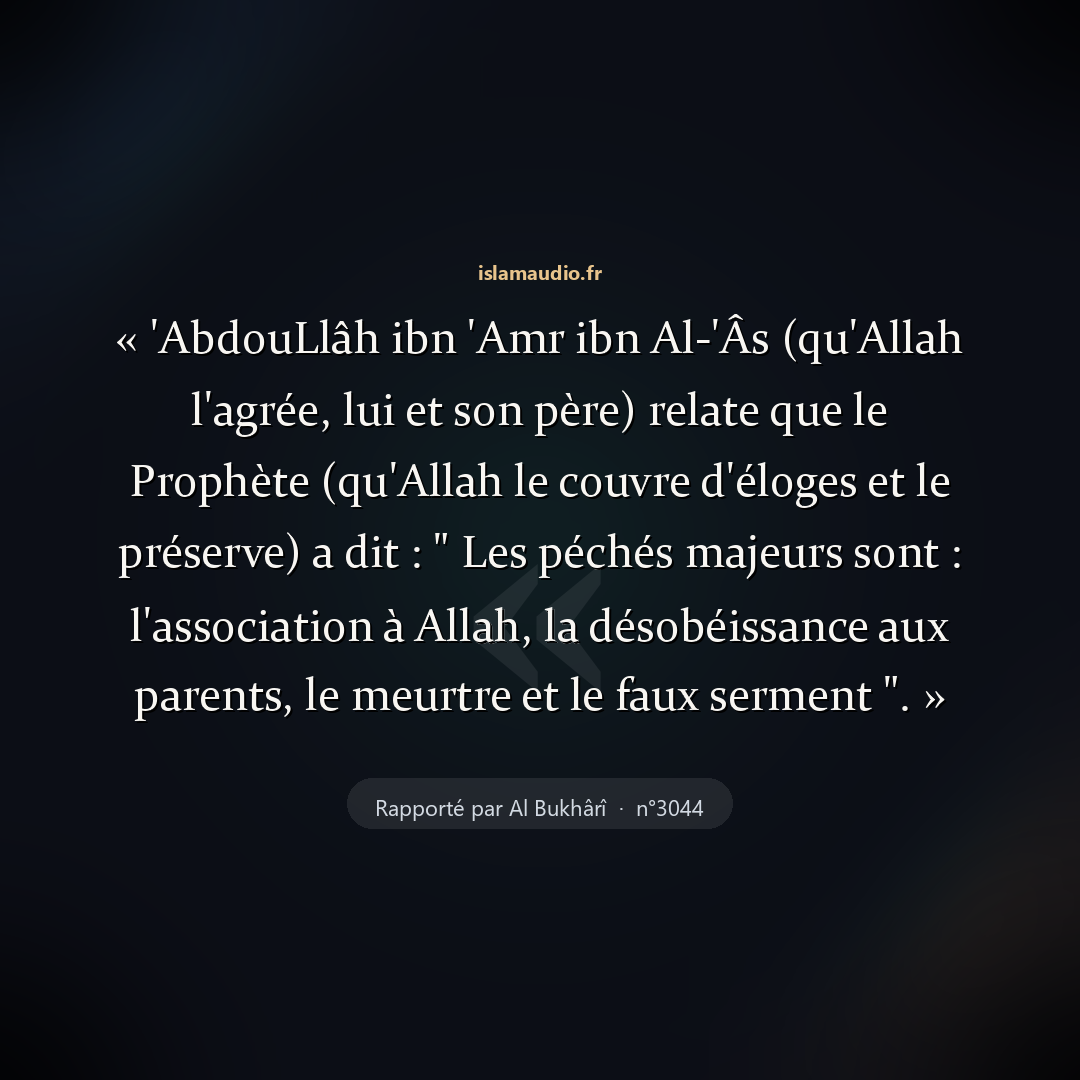 Aperçu du hadith