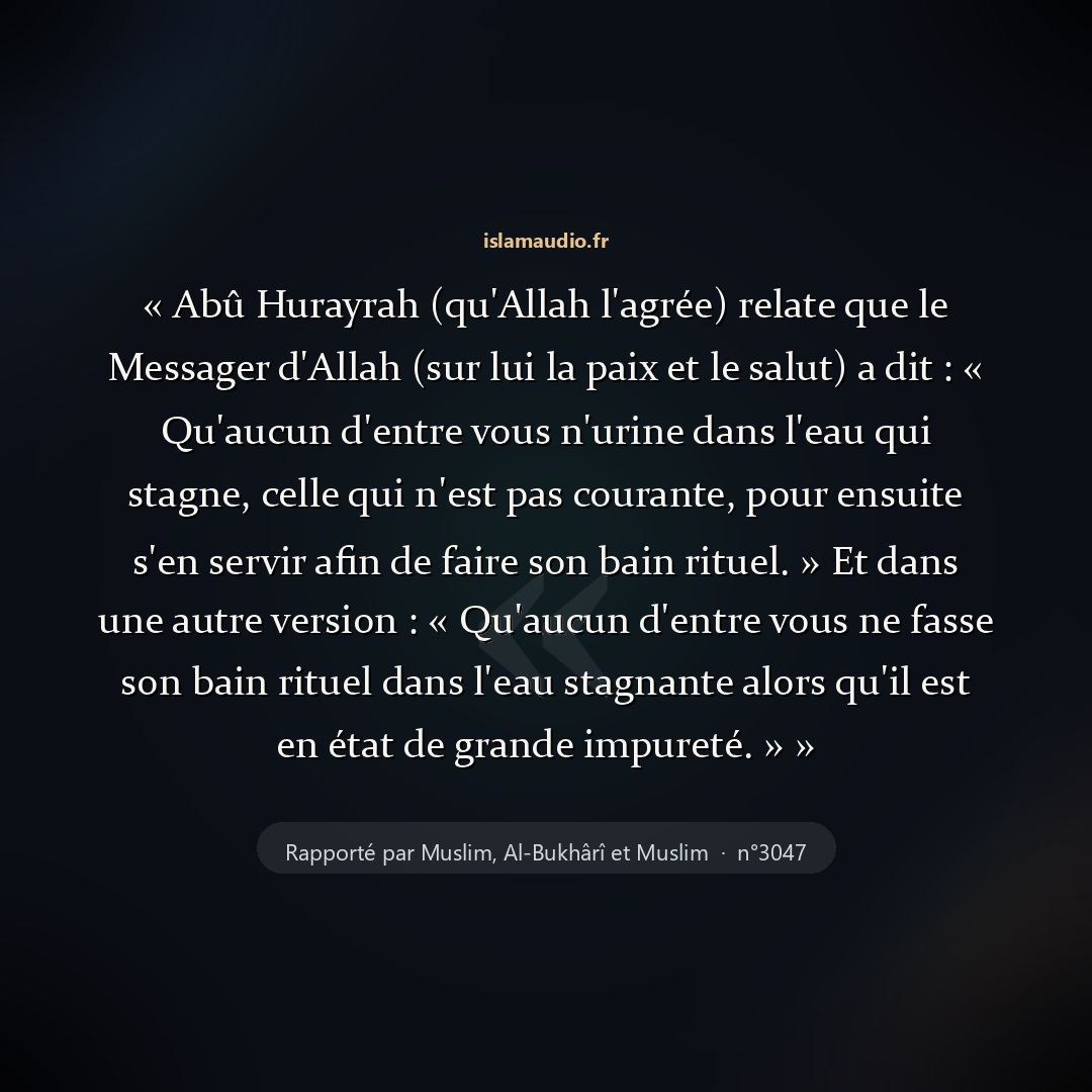 Aperçu du hadith