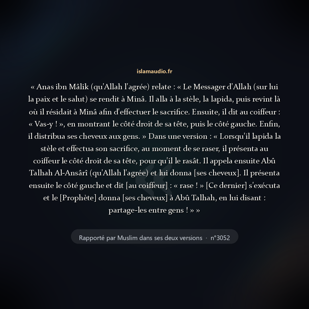 Aperçu du hadith