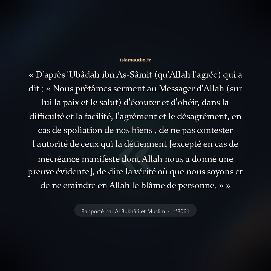 Aperçu du hadith