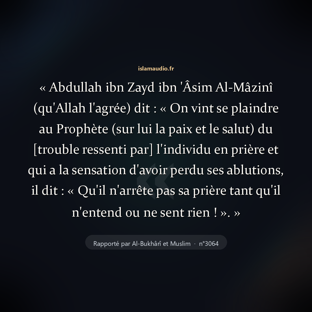 Aperçu du hadith