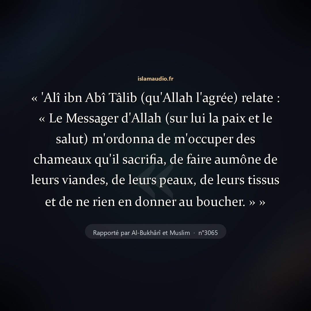 Aperçu du hadith