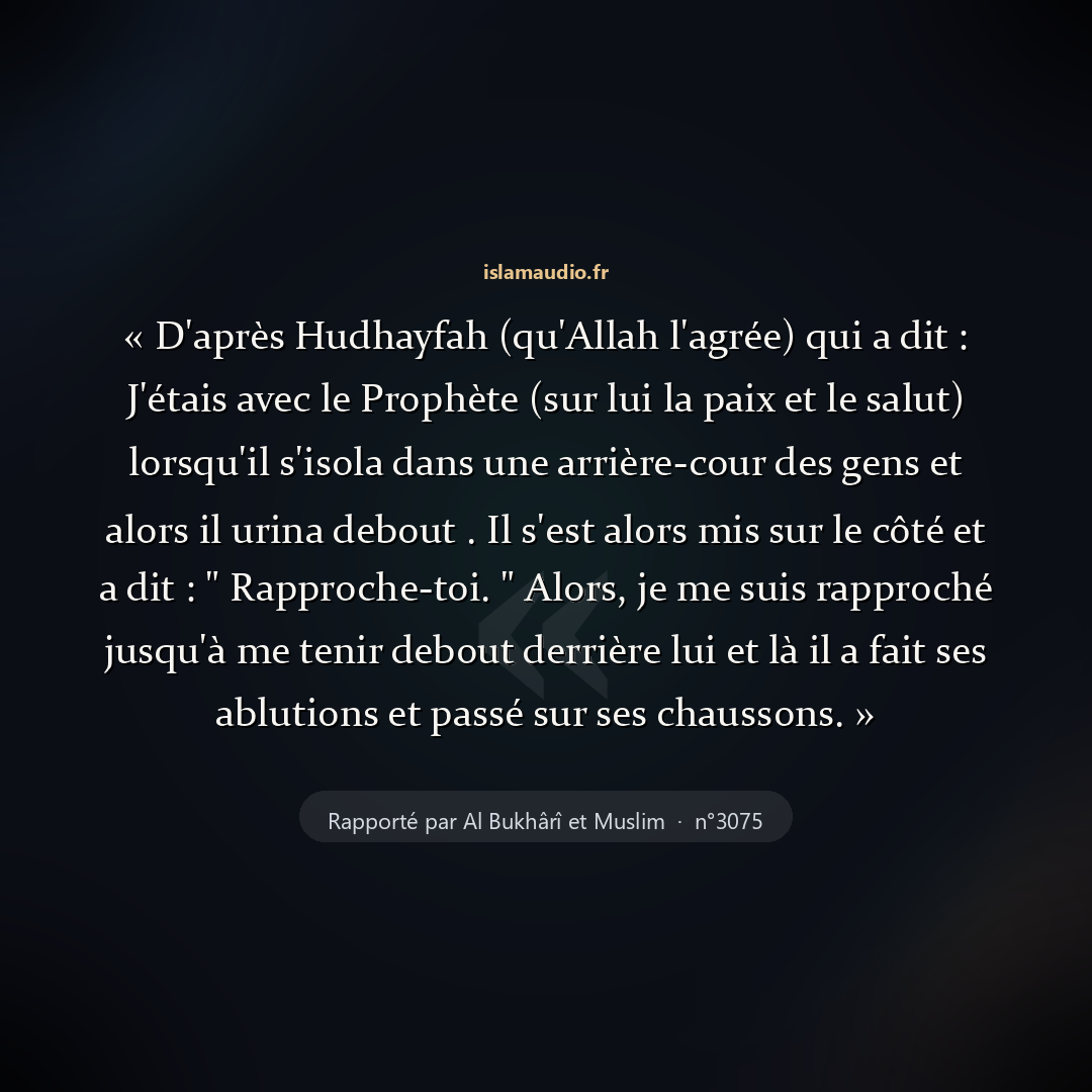 Aperçu du hadith