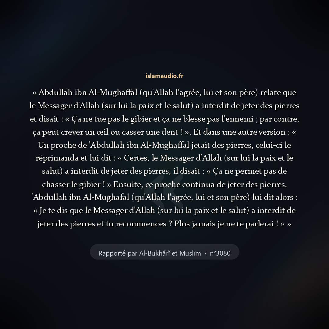 Aperçu du hadith