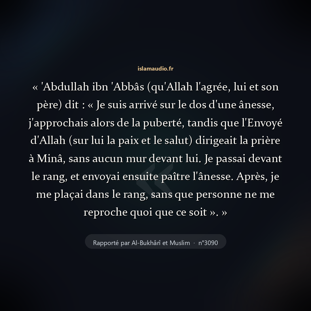 Aperçu du hadith