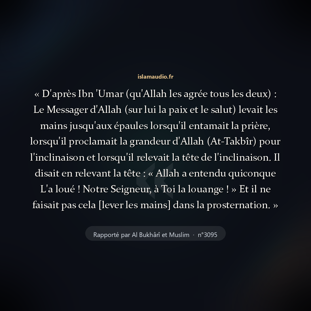 Aperçu du hadith