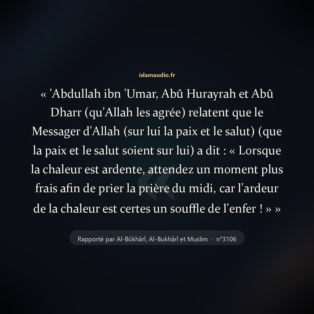Aperçu du hadith