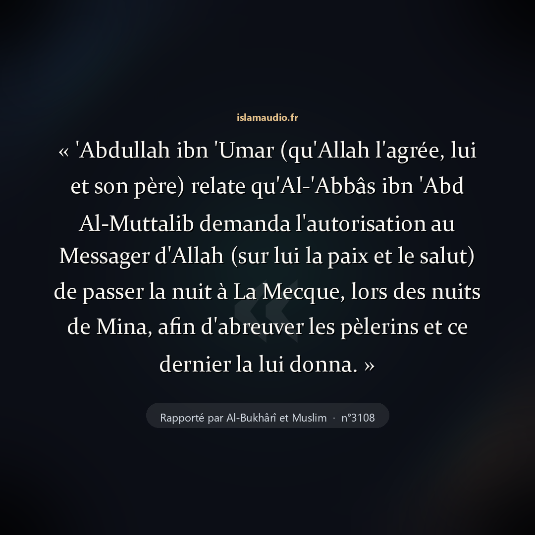 Aperçu du hadith