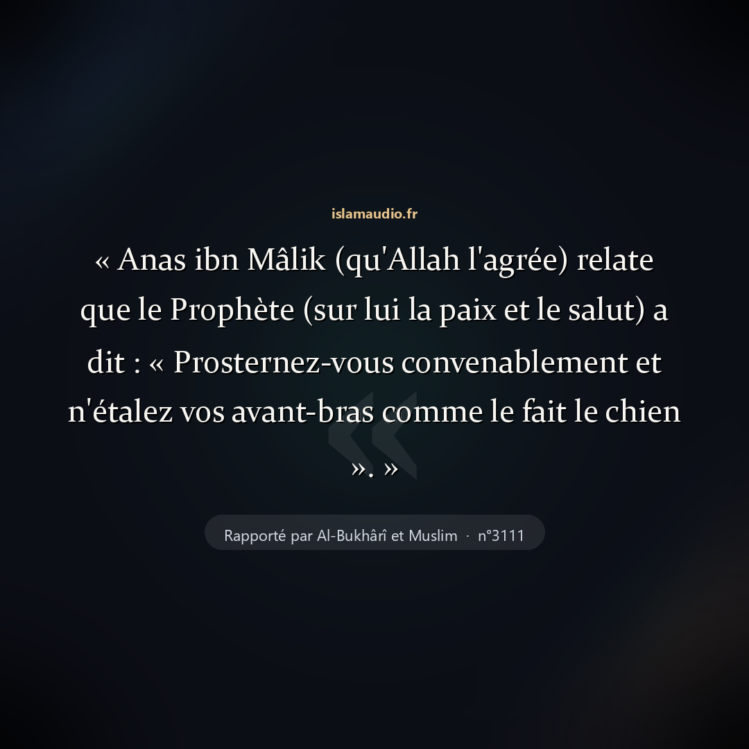 Aperçu du hadith