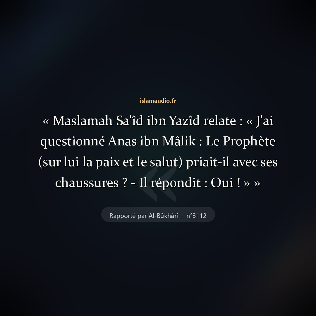Aperçu du hadith