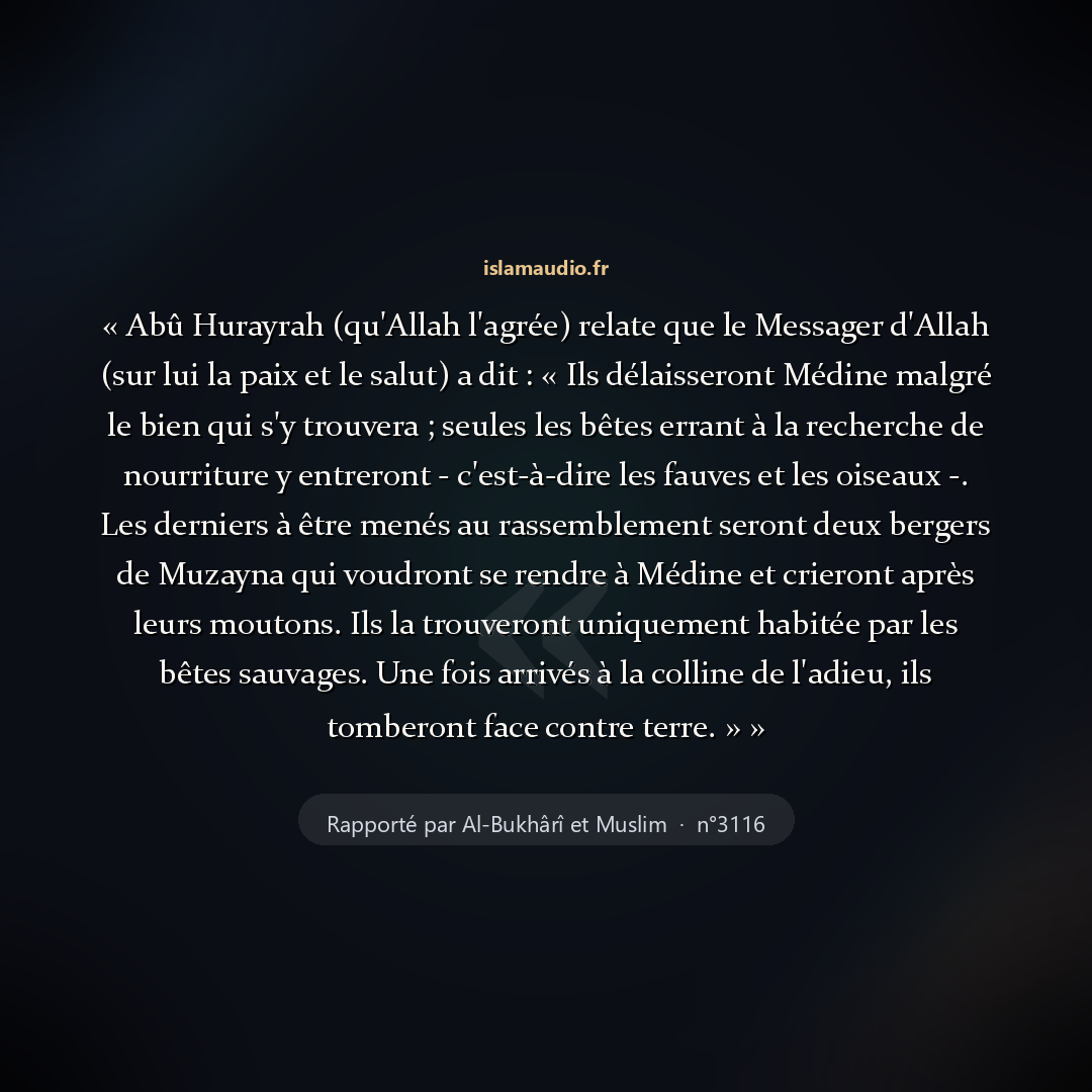Aperçu du hadith
