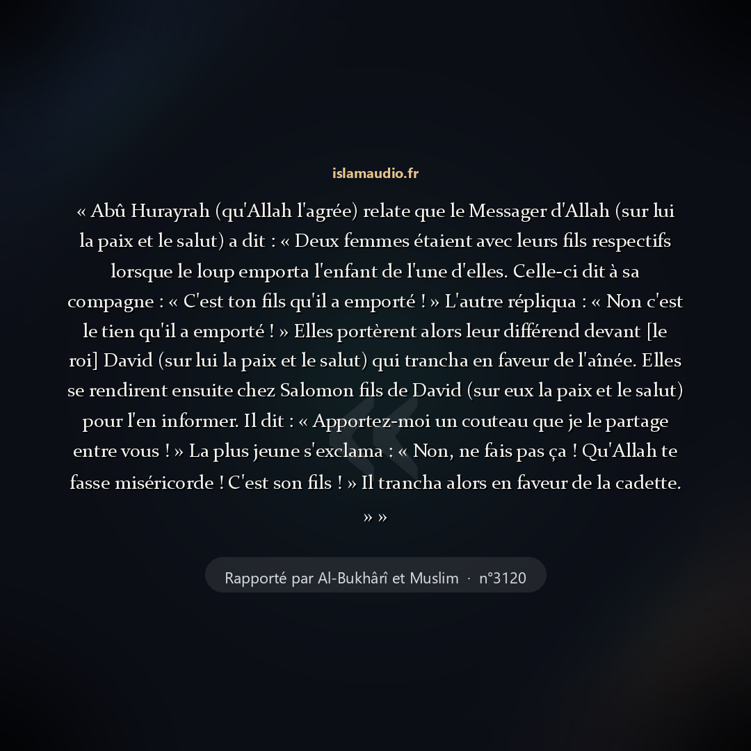 Aperçu du hadith