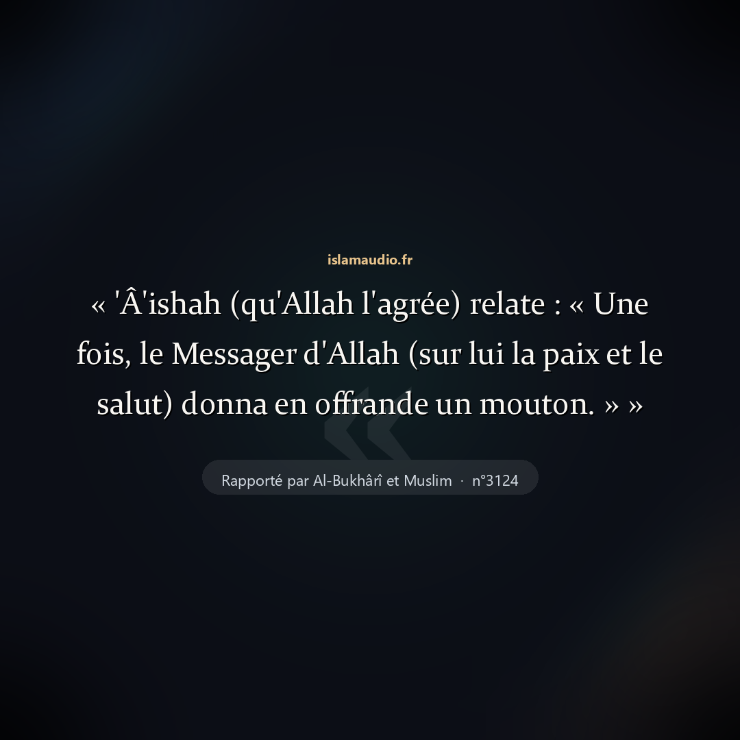 Aperçu du hadith