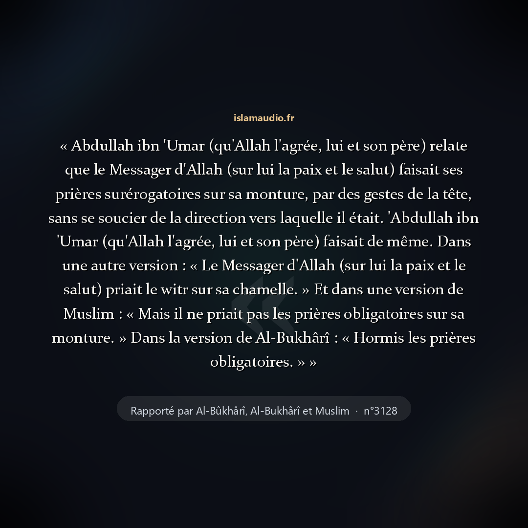 Aperçu du hadith