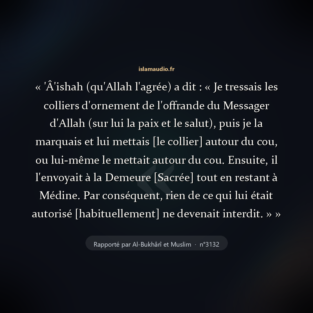 Aperçu du hadith