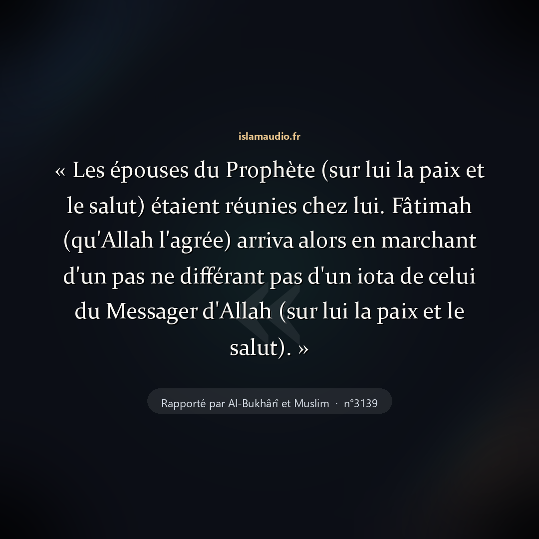 Aperçu du hadith