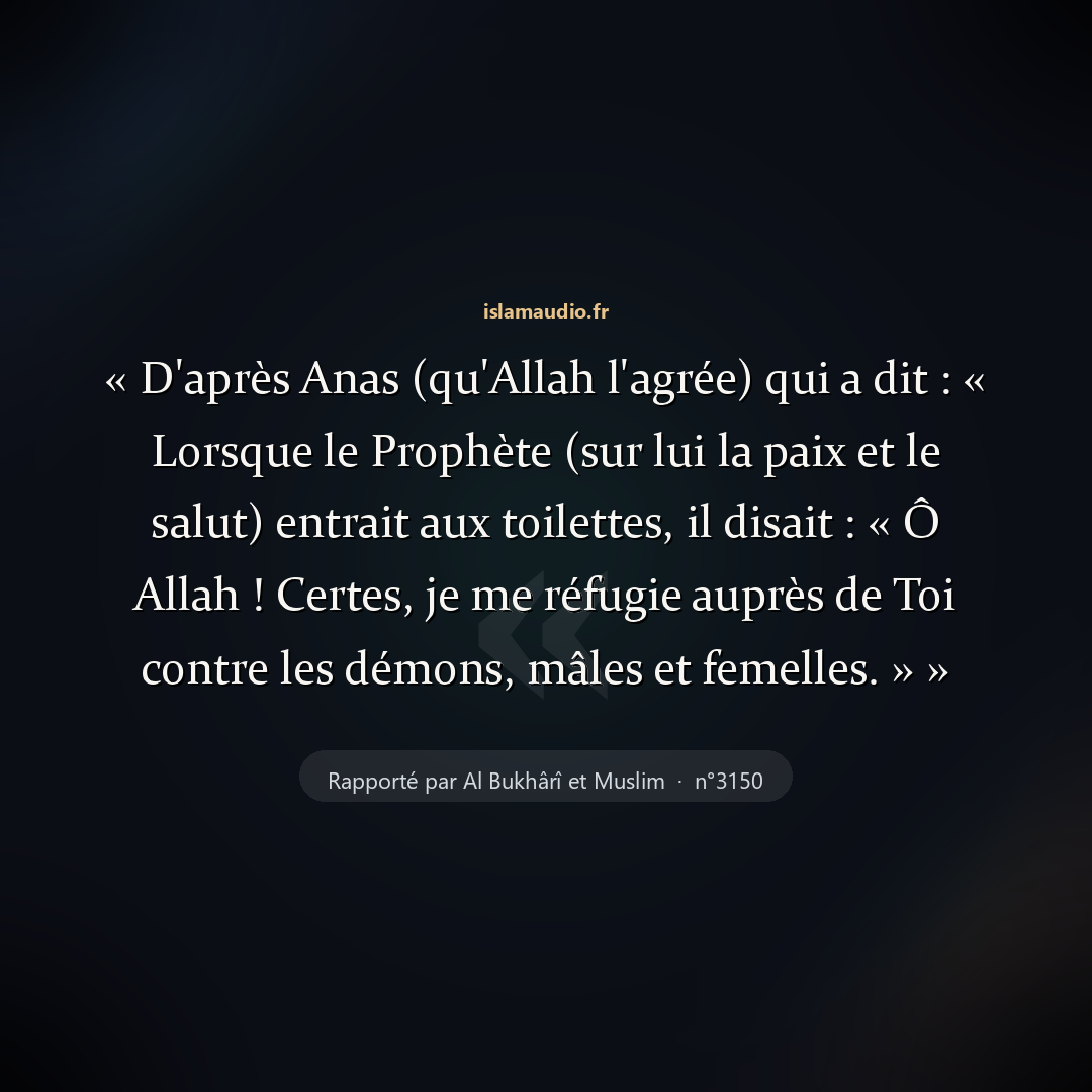 Aperçu du hadith