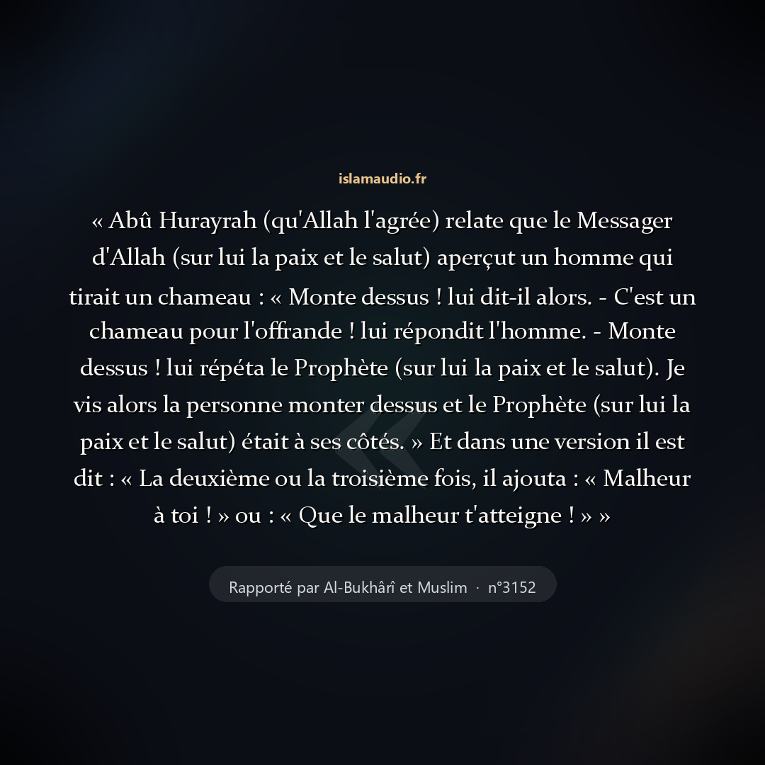 Aperçu du hadith