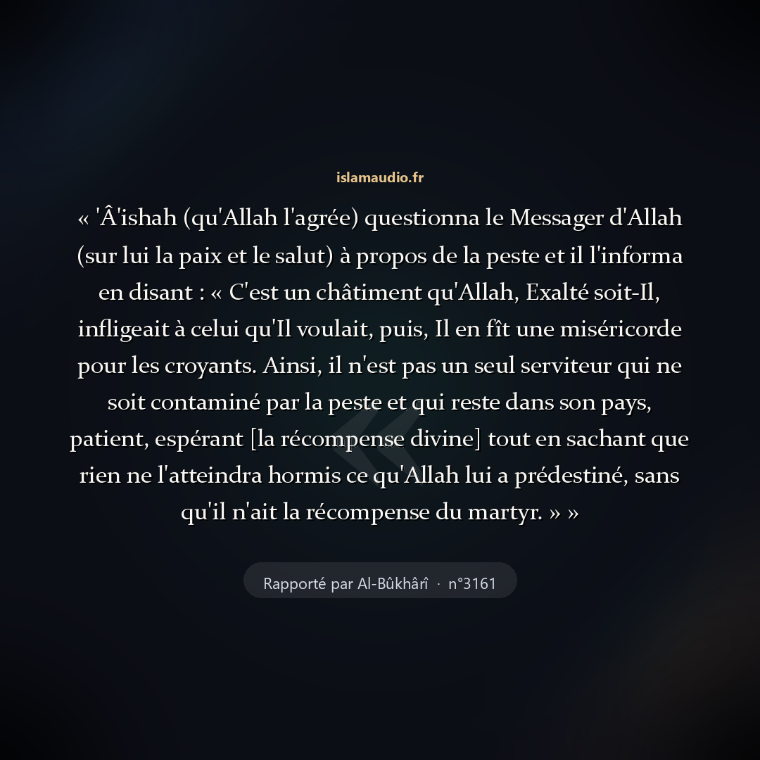 Aperçu du hadith