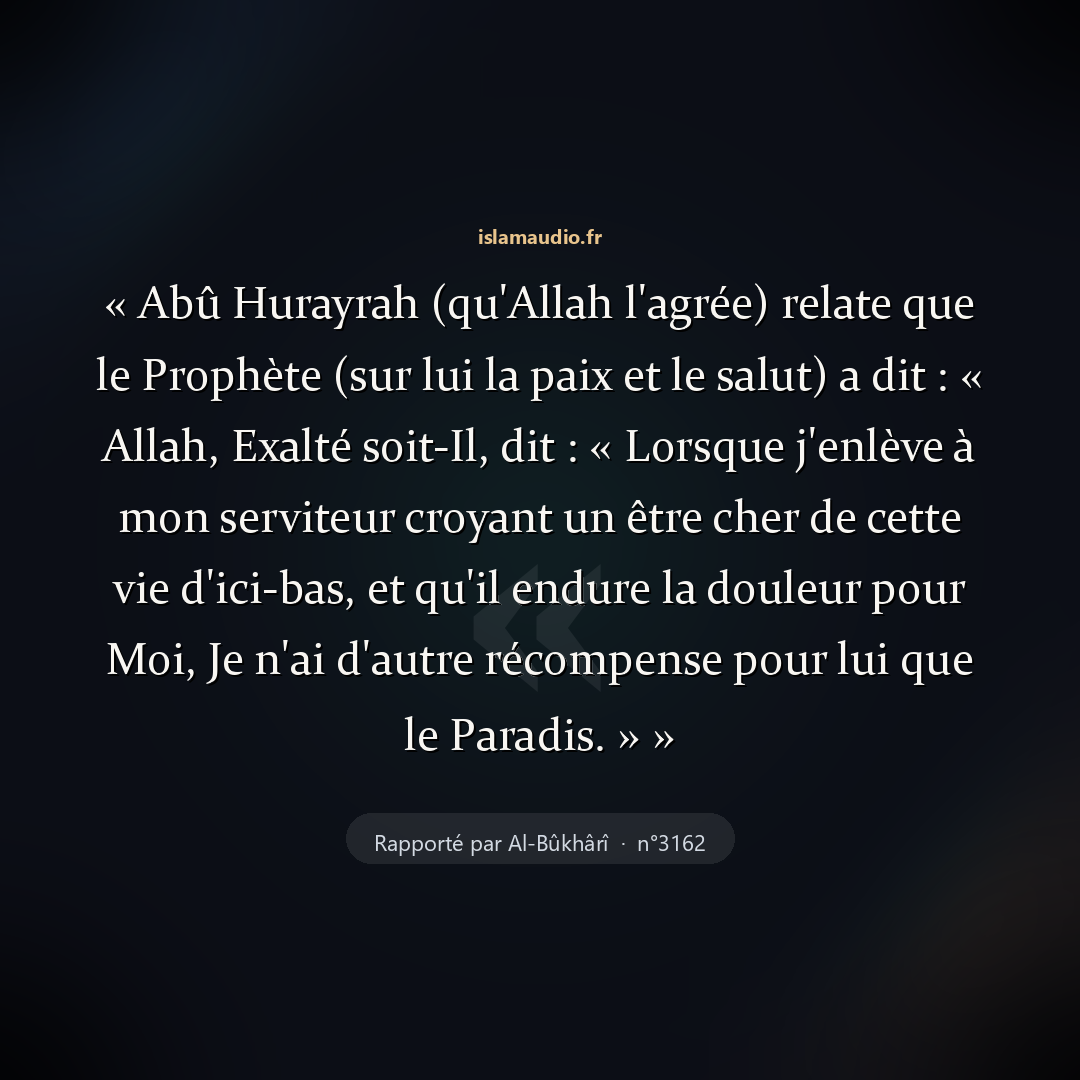 Aperçu du hadith