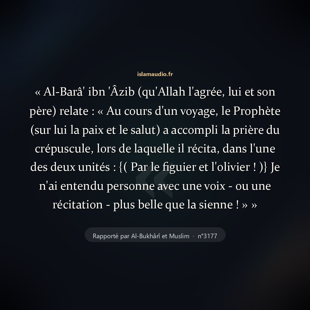 Aperçu du hadith