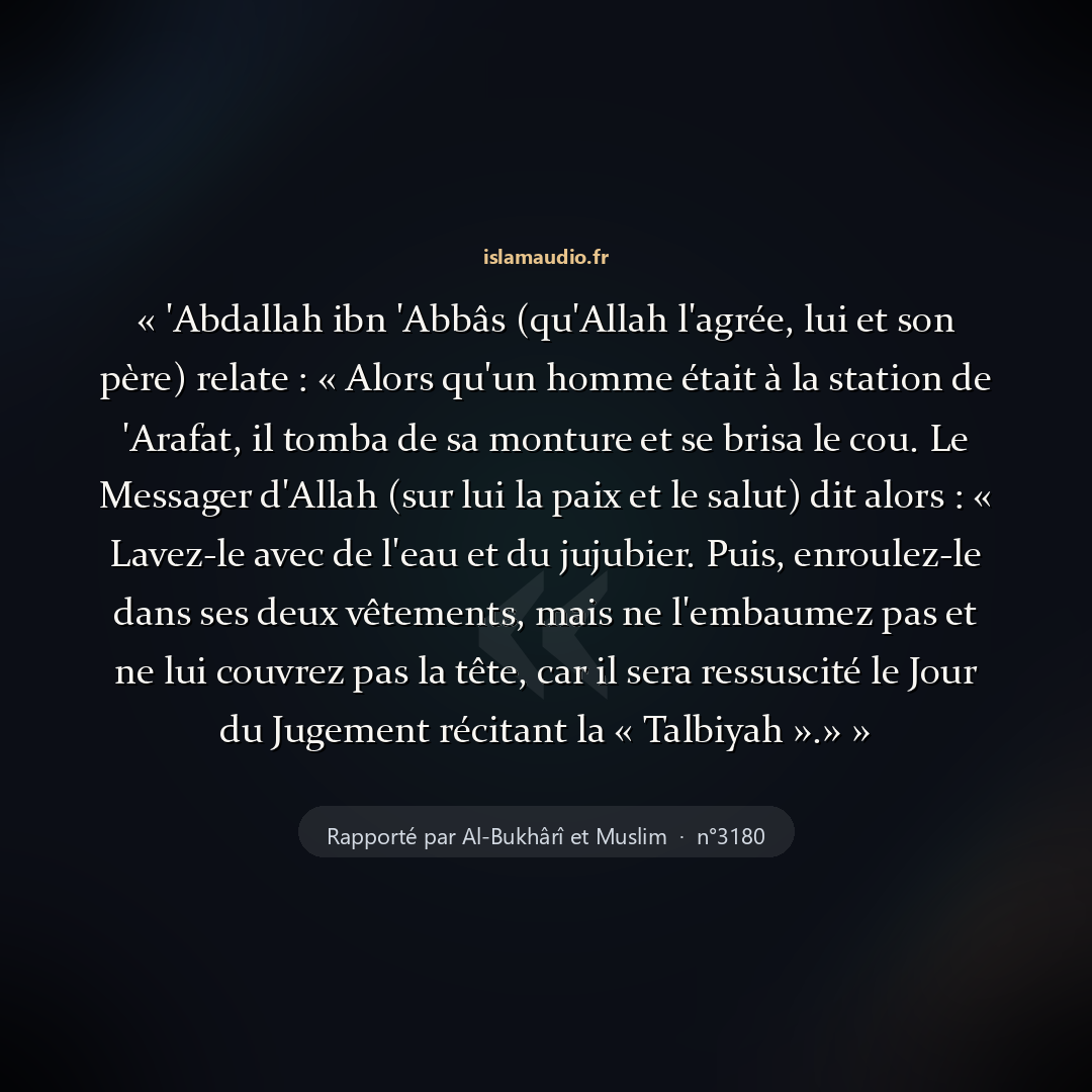 Aperçu du hadith